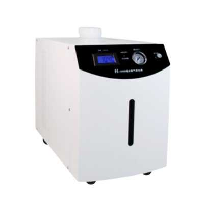 氢气发生器 氢气发生器